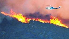  Farmers to face fines for forest fires