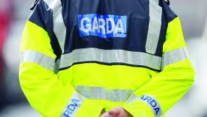 Miraculous escape for pilot after plane crashes outside Drumlish

