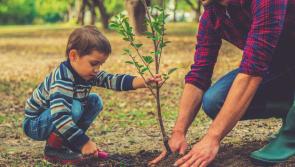 104 children in Foster Care in Sligo/ Leitrim / West Cavan