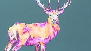 Animal Art at The Design House