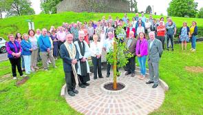 Victims of suicide remembered in Manorhamilton as Tree of Hope unveiled