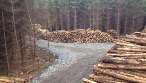 Former Taoiseach Sean Lemass wanted to plant Leitrim land with timber