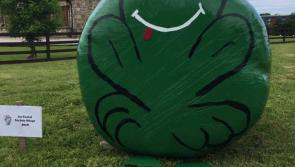 Gallery -  Take a look at these fantastic entries in this year's Stylish Silage 