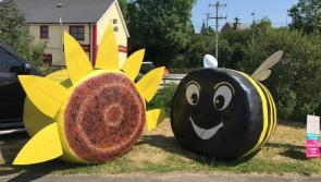 Gallery: 70 entries in Leitrim's Stylish Silage