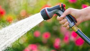 LIVE: Water shortage alert issued for entire country amid 28C heatwave forecast