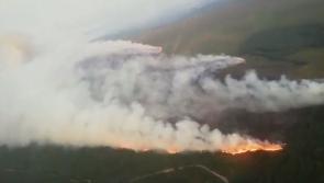 National Parks and Wildlife Service issues summer fire safety appeal