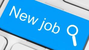 Leitrim jobs roundup: Who's hiring in the county this week?