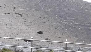 Investigation underway into major fish kill in North Leitrim and Bundoran
