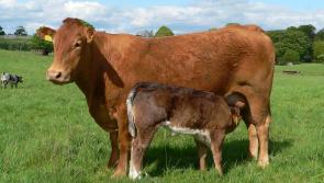 Farming woes "a serious issue for Leitrim"