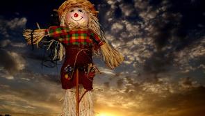Lurganboy Scarecrow & Heritage Festivities
