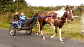 Tullaghan Pony Drive this Sunday