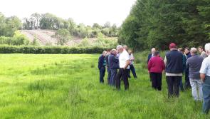 Planning, forestry and falling incomes are devastating farming  in Leitrim