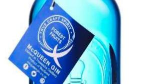Gintastic tipple set to hit Ireland's Aldi stores next month