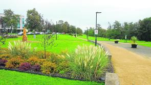 Carrick-on-Shannon Tidy Towns news