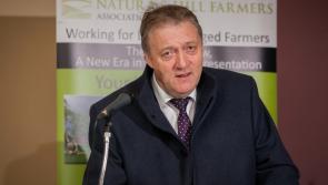 Mixed reaction to budget from INHFA
