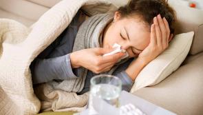 Flu or cold? Spot the difference