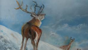 Christmas Show at Solas Gallery, Ballinamore
