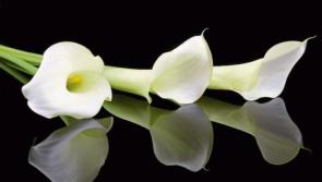 Leitrim area deaths - Friday, January 1, 2021