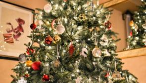 Apparently most of us aren't putting up the Christmas tree until the 8th!