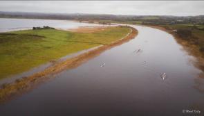 Record numbers compete in Head of the Shannon
