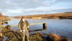 The first salmon of 2019  caught and released 