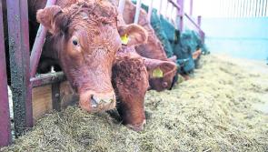 Council supports farmers in their ongoing campaign