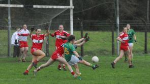 Gallery | Leitrim ladies suffered defeat at the hands of Louth in Cloone