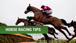 RACING: 5 horses worth a bet at Cheltenham next week 