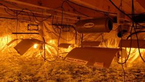 Arrests following seizure of €200,000 worth of cannabis