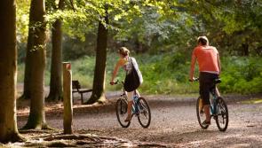 COLUMN:  I 'wheelie' don't want to do this....
