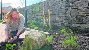 Art and inspiration from the landscapes of North Leitrim in the fabulous new W8 Centre