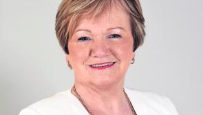Reinstate bins at playground in Drumkeeran - Bohan