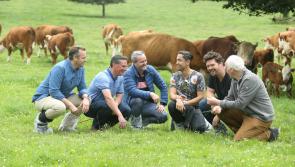 Ireland tops medal table at World Steak Challenge