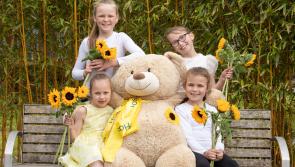 €33,000  raised for North West Hospice on Sunflower days
