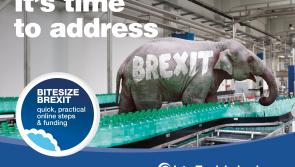 Brexit becoming too big for cross-border businesses to  ignore