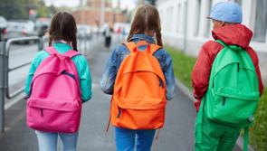 Leitrim Mammy Diaries: A different approach to after school questions
