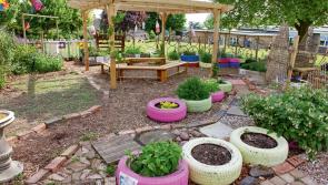 Kiltyclogher and Drumshanbo receive funding for sensory gardens