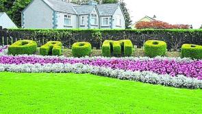 Dromod Tidy Towns committee praised for 60 years of consistency and high standards