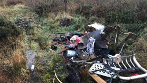 Dead calf among rubbish dumped in Newtownmanor