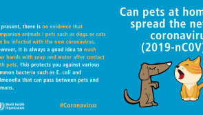 MYTHS BUSTED: World Health Organisation separates fact from fiction in fight against Covid-19