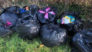 'Illegal dumping 'mentality needs to change in Leitrim - claim
