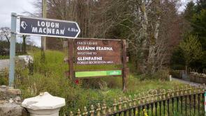 Excitement grows for "ambitious" Glenfarne Wood project