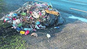 16 prosecutions brought by Leitrim County Council for littering