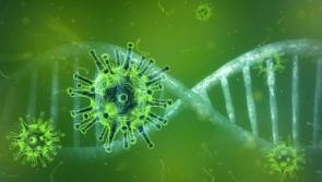 University study to probe impact of Covid-19 on daily life in Ireland