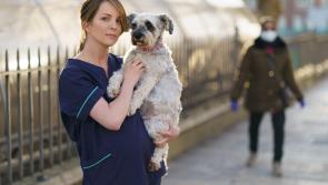 Dogs charity supports frontline workers by offering temporary foster care for their dogs