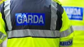 Woman arrested in connection with fatal car fire in Westmeath in which two children died