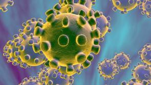 BREAKING: 33 deaths and 744 confirmed cases
Latest vaccine figures published