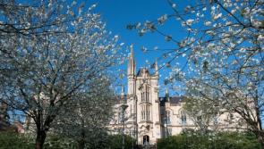 Department of Health non-committal over Magee medical school