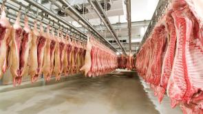 Key questions must be answered by Ministers on meat plants