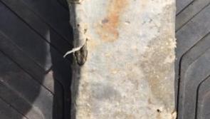 We're not codding! One kilo of cannabis fished by Irish trawler 80 miles off the coast 